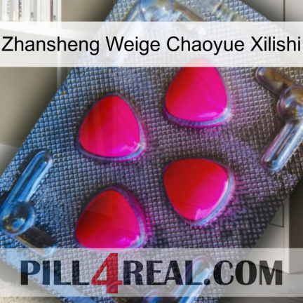 Zhansheng Weige Chaoyue Xilishi 13